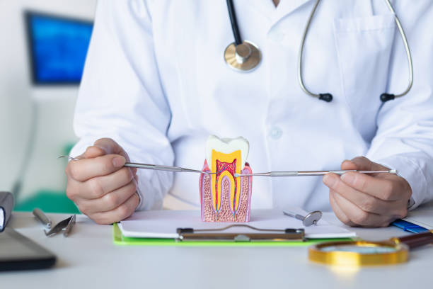 Best Emergency Tooth Extraction in Highlands, NC